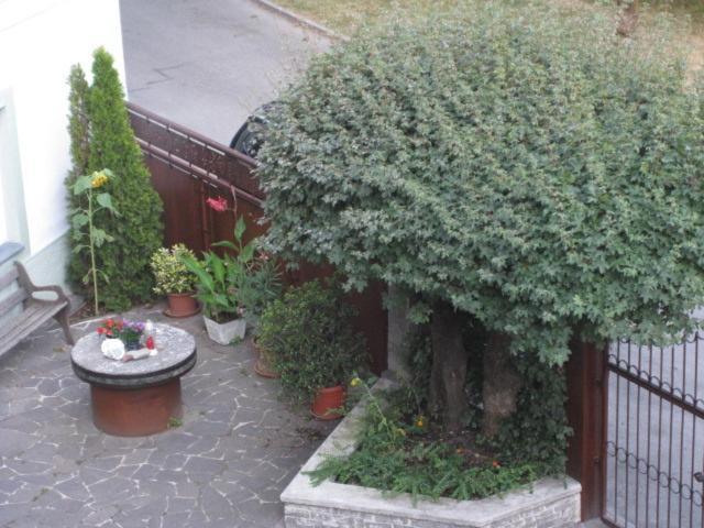 Ferienwohnung Lienz Egger Exterior photo